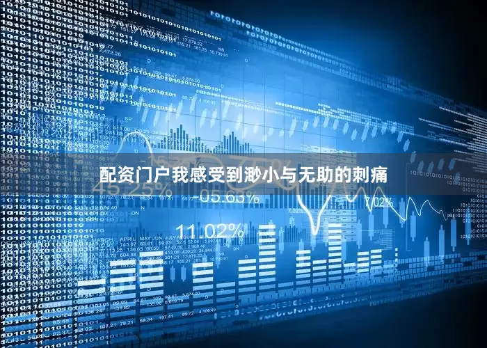 配资门户我感受到渺小与无助的刺痛