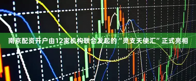 南京配资开户由12家机构联合发起的“灵支天使汇”正式亮相