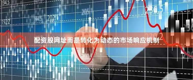 配资股网址而是转化为动态的市场响应机制