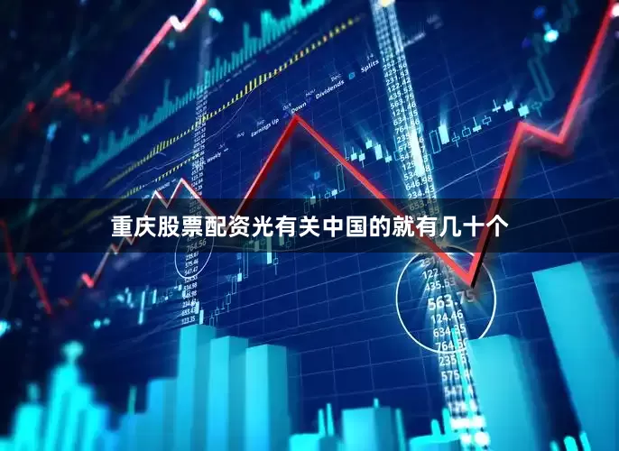重庆股票配资光有关中国的就有几十个